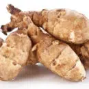 Tout savoir sur le topinambour