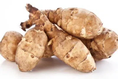 Tout savoir sur le topinambour