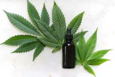 cannabis light cbd