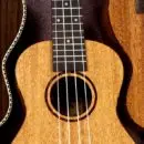instrument ukulele