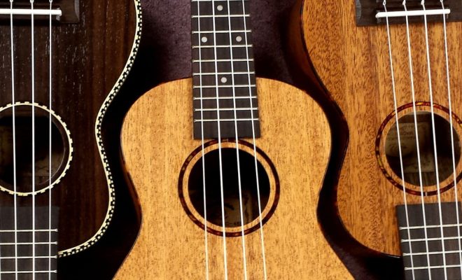 instrument ukulele