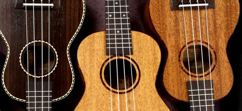 instrument ukulele