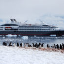 Quelle est la meilleure période pour un voyage en Antarctique