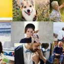 montage photo facile