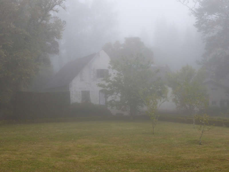 humidité maison