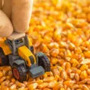 tracteur agricole miniature