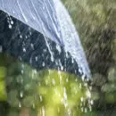 parapluie robuste