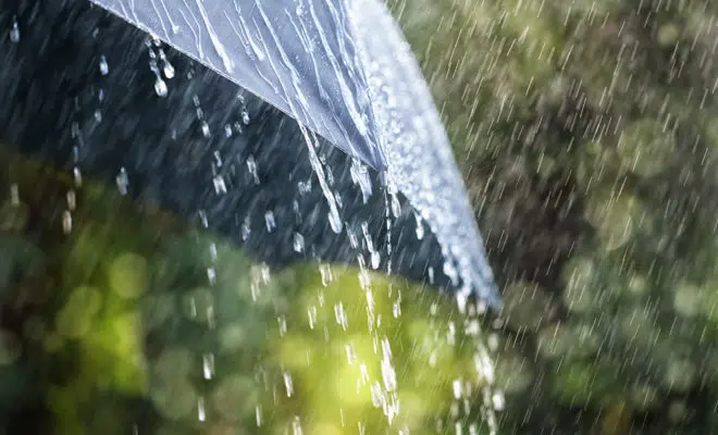 parapluie robuste