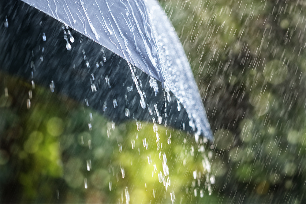 parapluie robuste