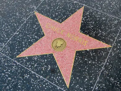 Chercher Chuck Norris