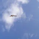 Offrir un saut à l'élastique, un cadeau très sympathique !