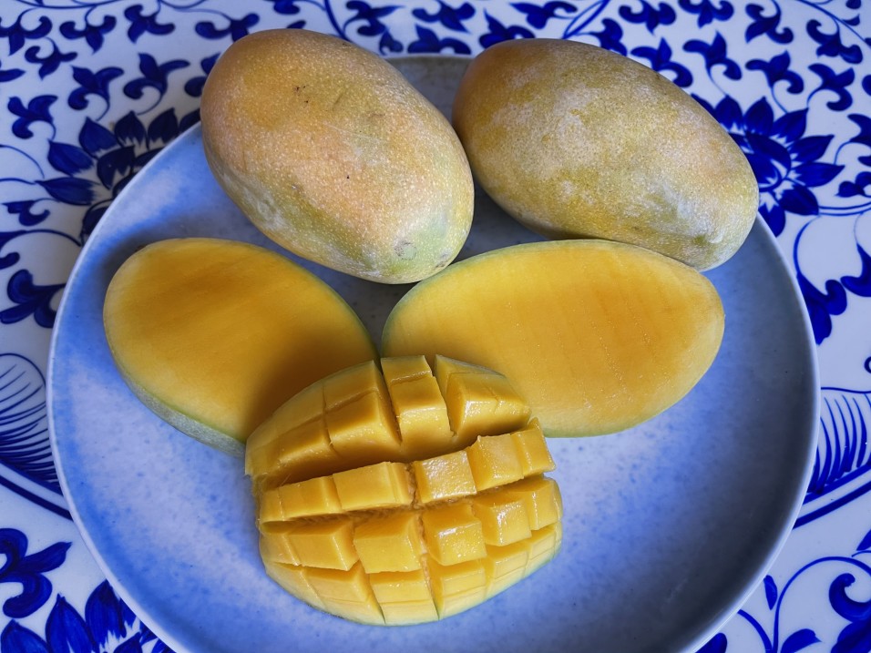 cbd mango