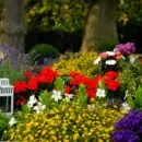 transport funéraire