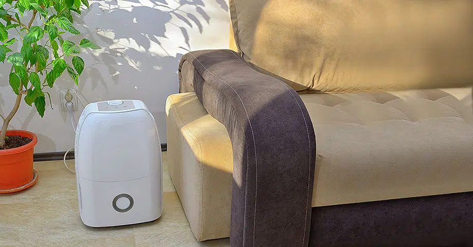 un rafraîchisseur d'air grand volume