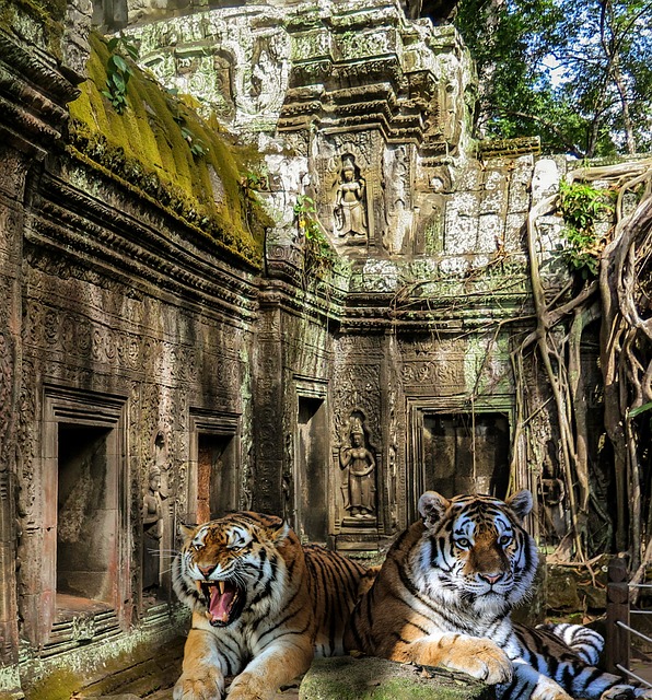 voyage Cambodge