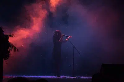 la chanteuse Mylène Farmer