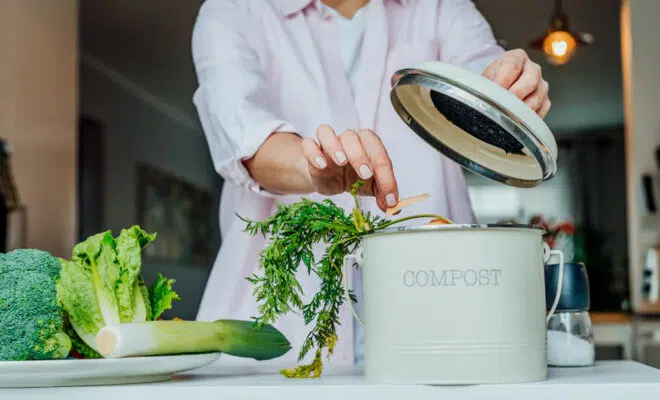 déchets cuisine compost