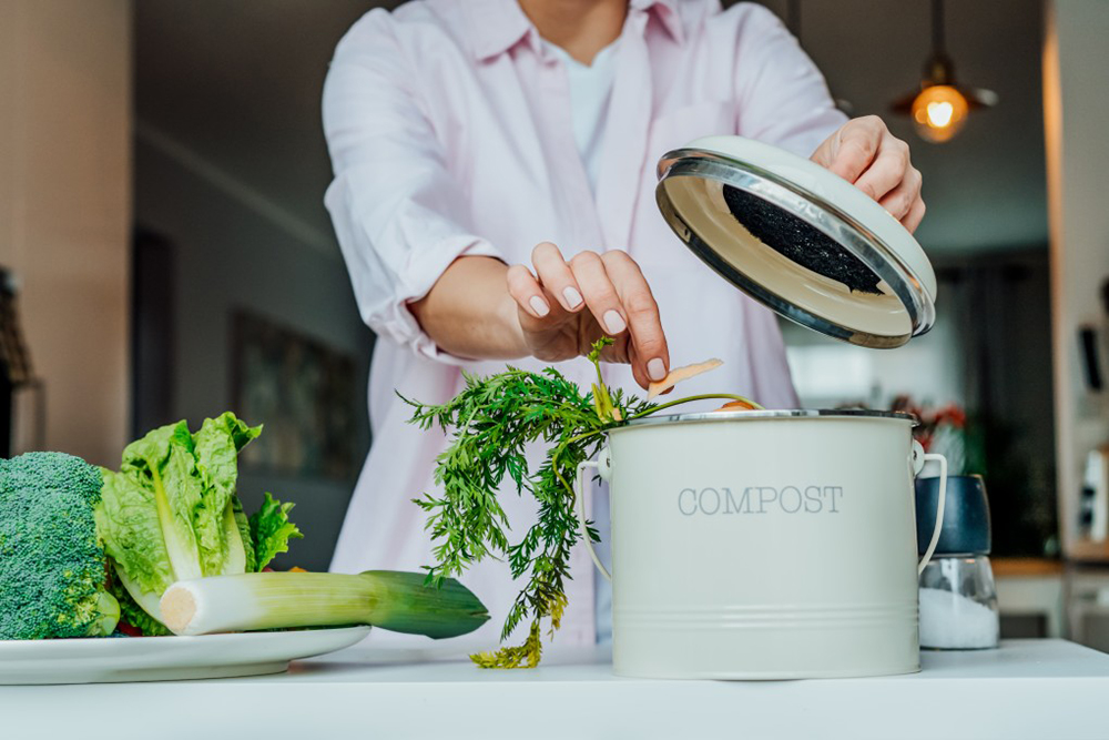 déchets cuisine compost
