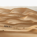 grand désert