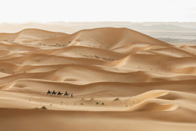 grand désert
