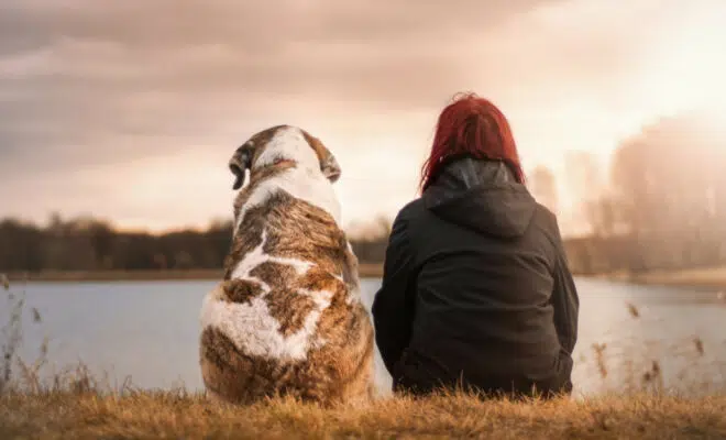 Comment sécher son chien ?