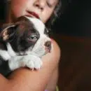 apaiser votre chiot la nuit