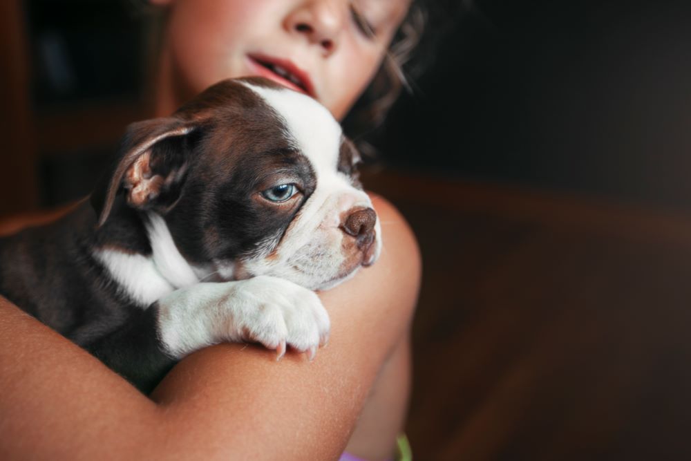 apaiser votre chiot la nuit