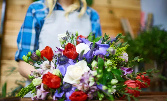 monsieur margueurite