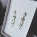 boucles d'oreilles grimpantes