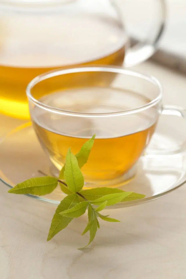 verveine menthe bienfaits tisanes plantes