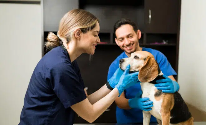 couverture assurance