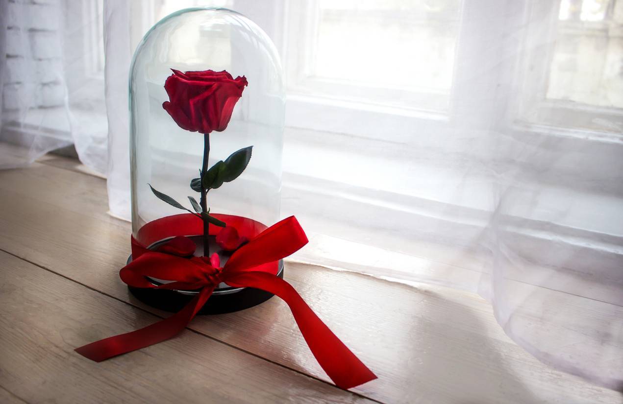 rose éternelle fleur offrir cadeau création artisanale bouquet