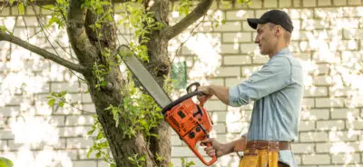 tronçonneuse en action