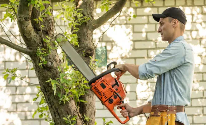 tronçonneuse en action