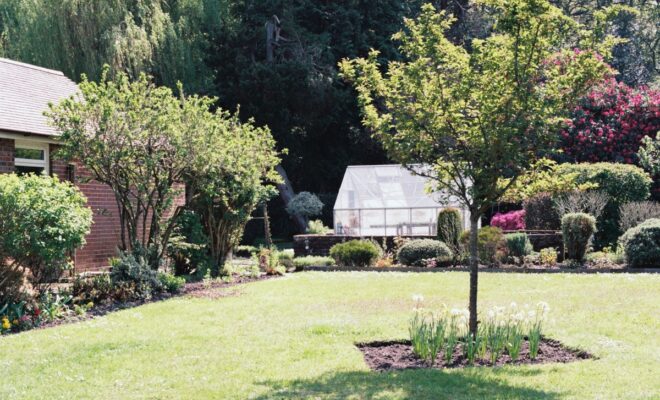 jardin de plantes et de gazon