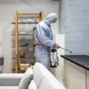 lutte contre nuisible