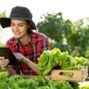 gaspillage alimentaire en agriculture