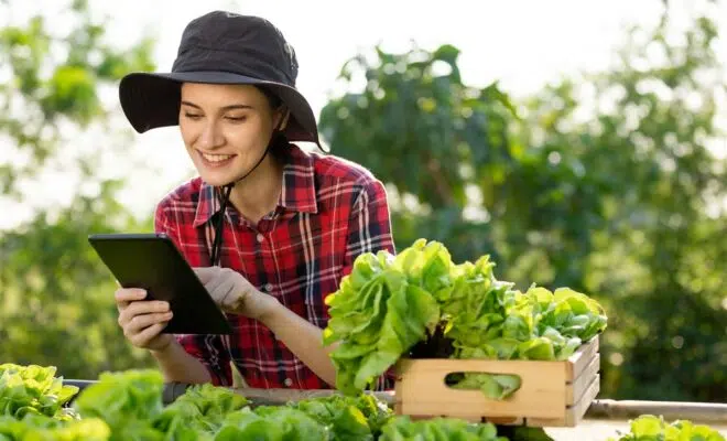 gaspillage alimentaire en agriculture