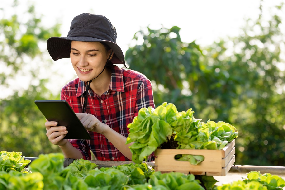gaspillage alimentaire en agriculture