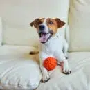 meilleurs accessoires