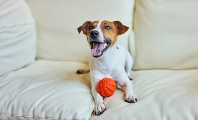 meilleurs accessoires