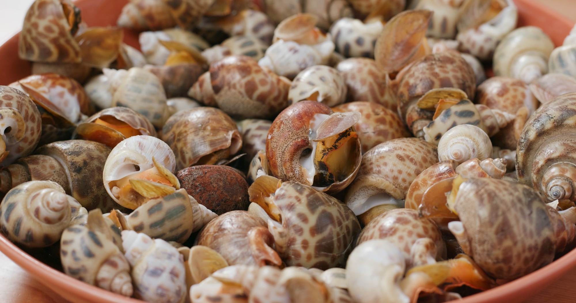 Escargots