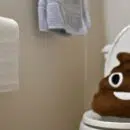 Concept of Gastrointestinal issues, diarrhea, constipation, stomach bug, bathroom, toilet,