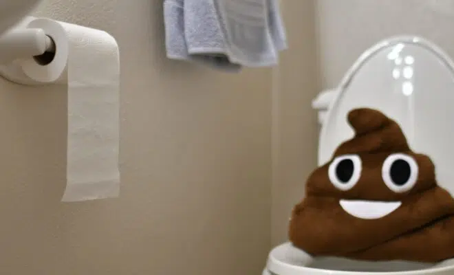 Concept of Gastrointestinal issues, diarrhea, constipation, stomach bug, bathroom, toilet,