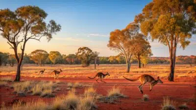 ne pas se faire tuer