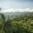 parc national Sierra