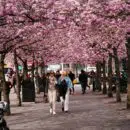 pays le plus féministe