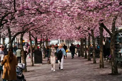 pays le plus féministe