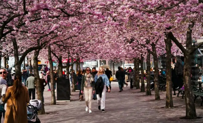 pays le plus féministe