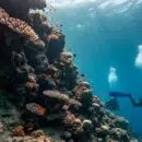 spots de plongée en Croatie